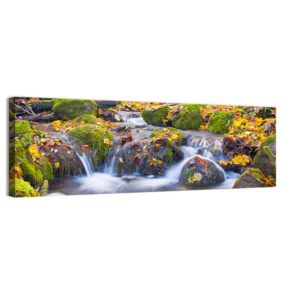Mossy Autumn Stream Wall Art, canvas print, panoramic