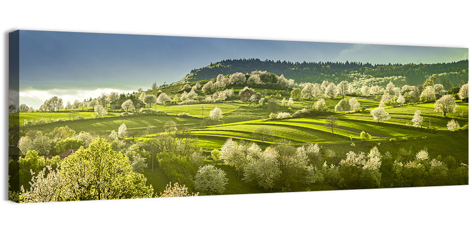 Spring Blossoms in Polana Wall Art, canvas print, panoramic