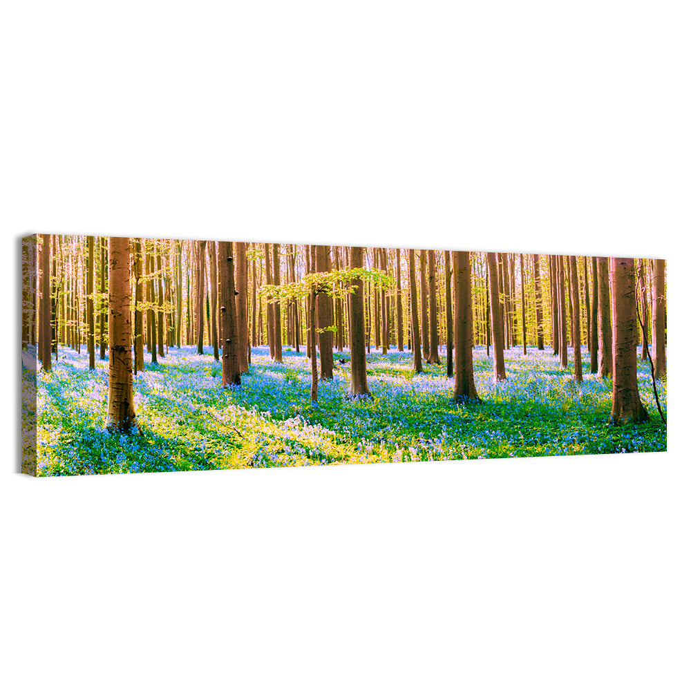 Hallerbos Bluebell Forest Wall Art, canvas print, panoramic