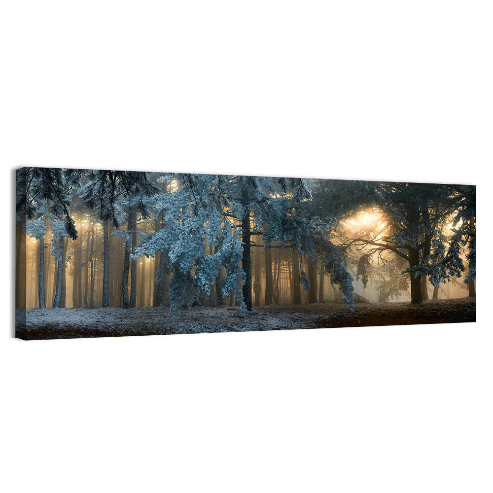 Sunlit Snow Covered Forest Wall Art, canvas print, panoramic