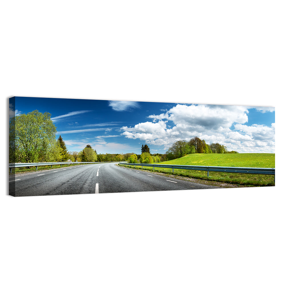 Sunlit Asphalt Road Wall Art, canvas print, panoramic