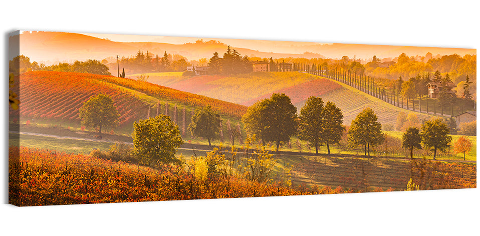 Golden Hour Vineyard Hills Wall Art, canvas print, panoramic
