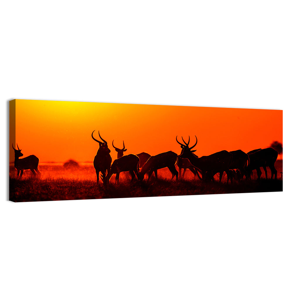 Antelope Herd at Sunset Wall Art, canvas print, panoramic
