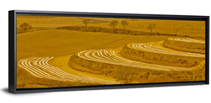 Loess Plateau Terraced Farmland Wall Art as a framed canvas