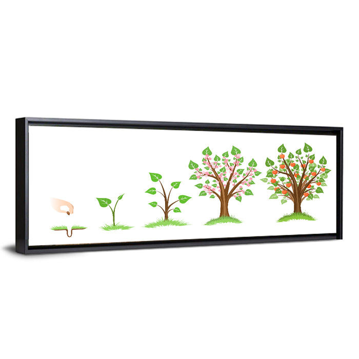 Apple Tree Life Cycle Wall Art as a framed canvas