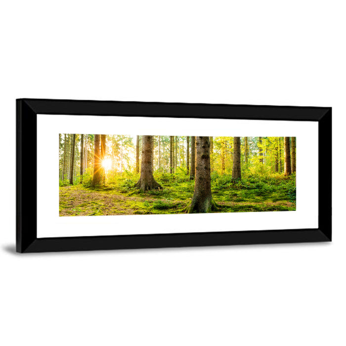 Sunburst Over Mossy Forest Wall Art as a framed print