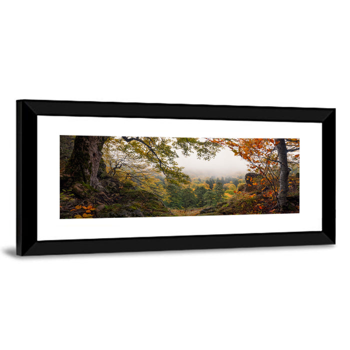 Enchanted Forest Valley Wall Art as a framed print