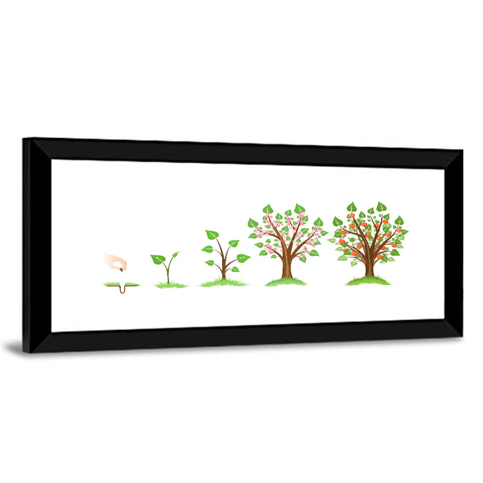 Apple Tree Life Cycle Wall Art as a framed print