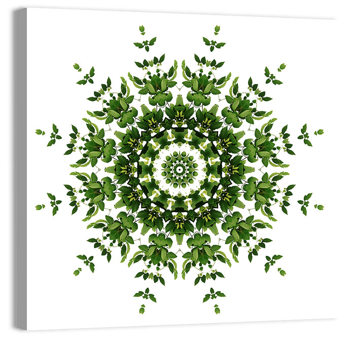 Botanical Green Leaf Mandala Wall Art as a canvas print