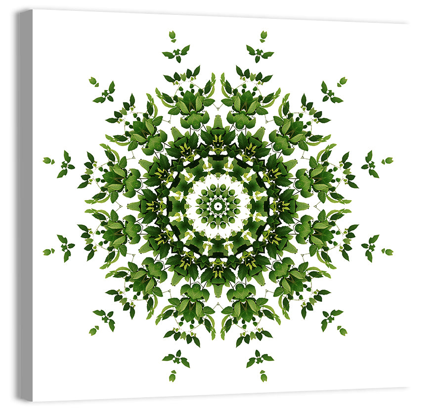 Botanical Green Leaf Mandala Wall Art, canvas print, square