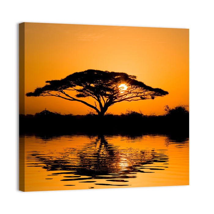 Acacia Tree at Sunrise Wall Art as a canvas print