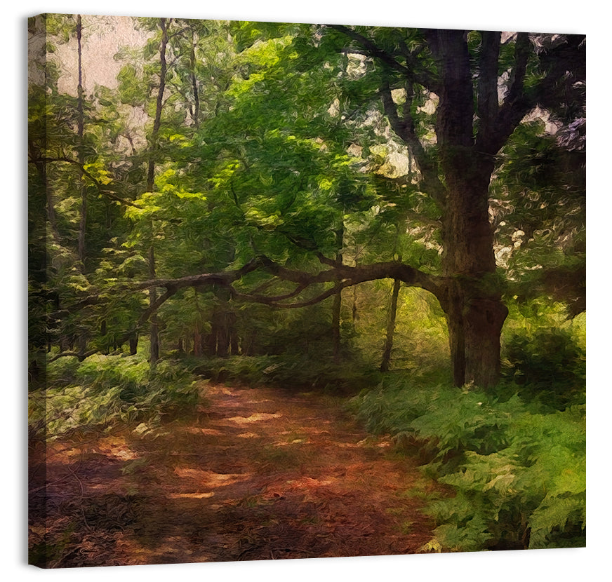 Sunlit Forest Trail Wall Art, canvas print, square