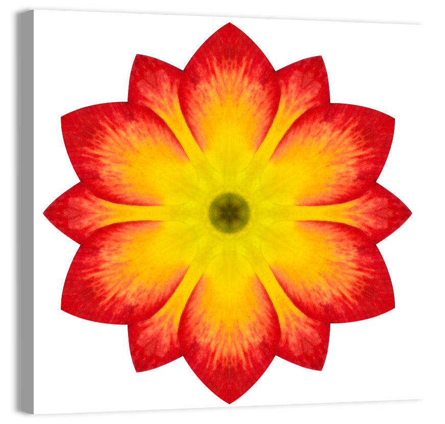 Primrose Radial Mandala Wall Art, canvas print, square