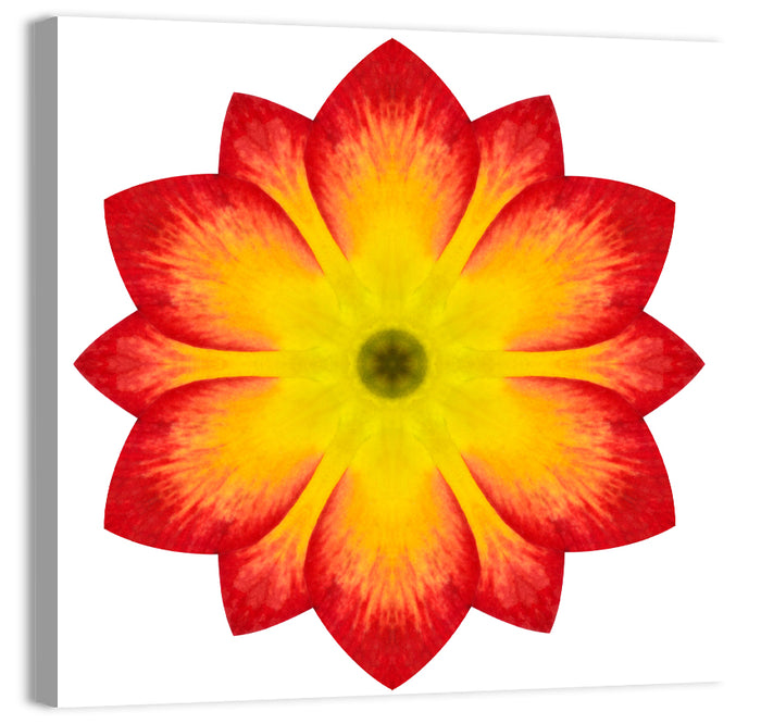Primrose Radial Mandala Wall Art as a canvas print