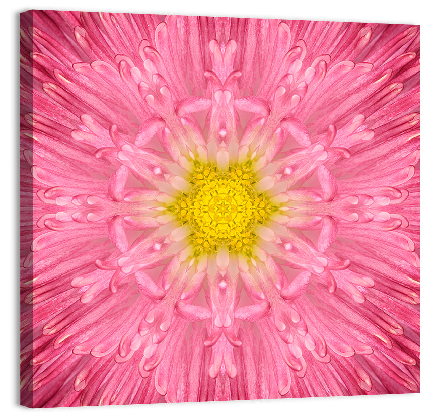 Pink Chrysanthemum Mandala Bloom Wall Art, canvas print, square