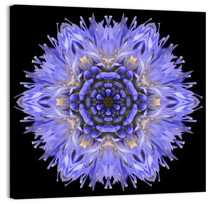 Cornflower Mandala Kaleidoscope Wall Art as a canvas print