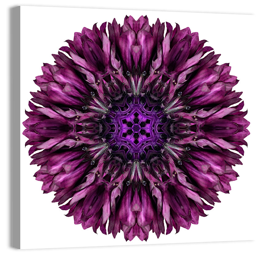 Purple Cornflower Kaleidoscope Mandala Wall Art, canvas print, square