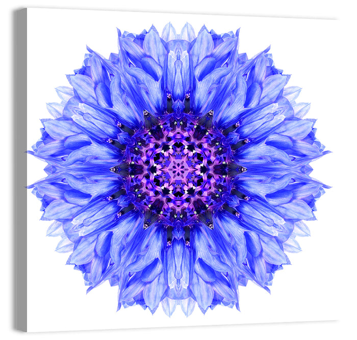 Cornflower Mandala with Dark Violet Center Wall Art as a canvas print