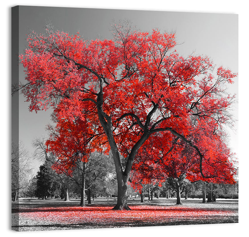 Winter Tree with Red Leaves Wall Art, canvas print, square