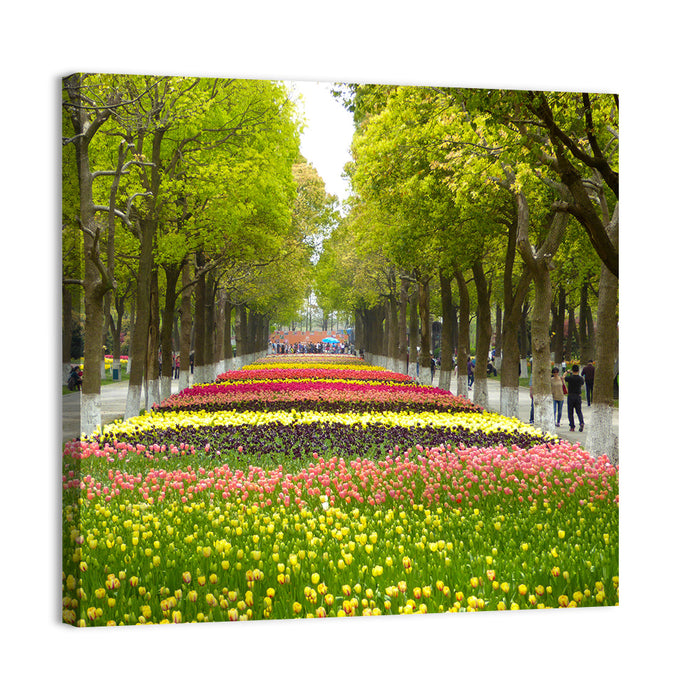 Tree-lined Tulip Garden Path Wall Art as a canvas print