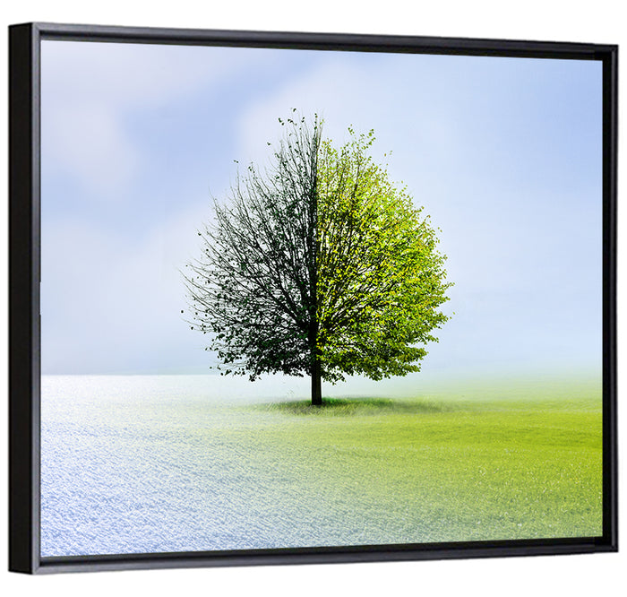 Winter to Spring Tree Wall Art as a framed canvas