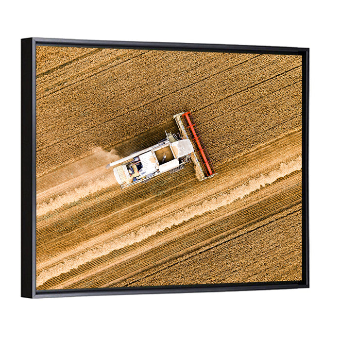 Aerial Combine Over Wheat Field Wall Art as a framed canvas