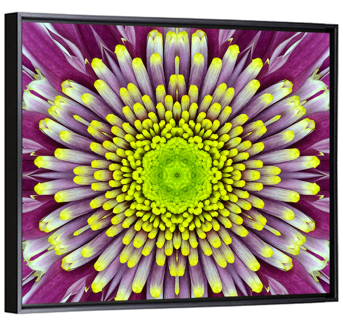 Mandala Chrysanthemum Macro Wall Art as a framed canvas