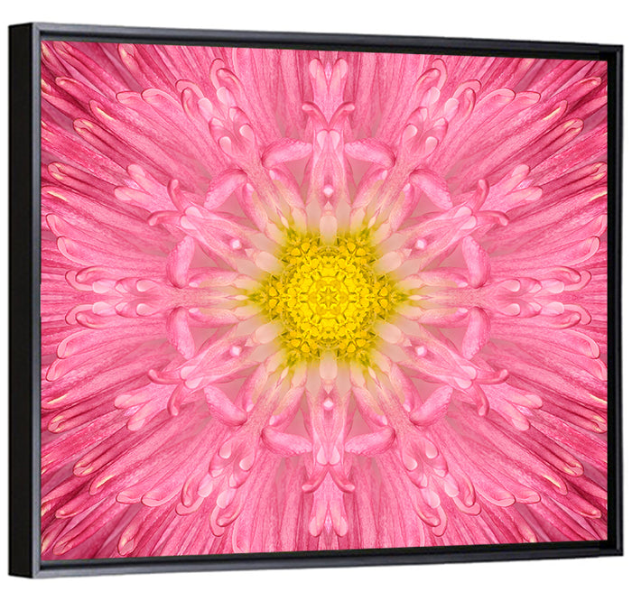 Pink Chrysanthemum Mandala Bloom Wall Art as a framed canvas
