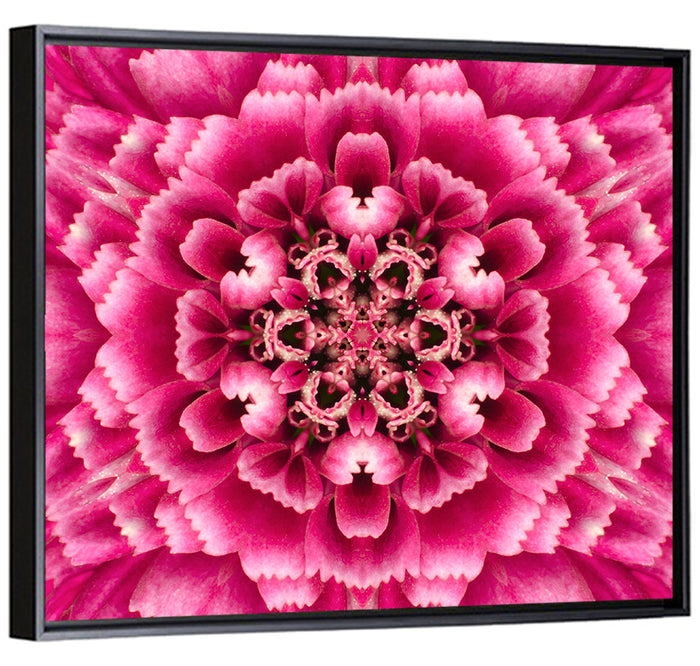Kaleidoscopic Pink Chrysanthemum Mandala Wall Art as a framed canvas