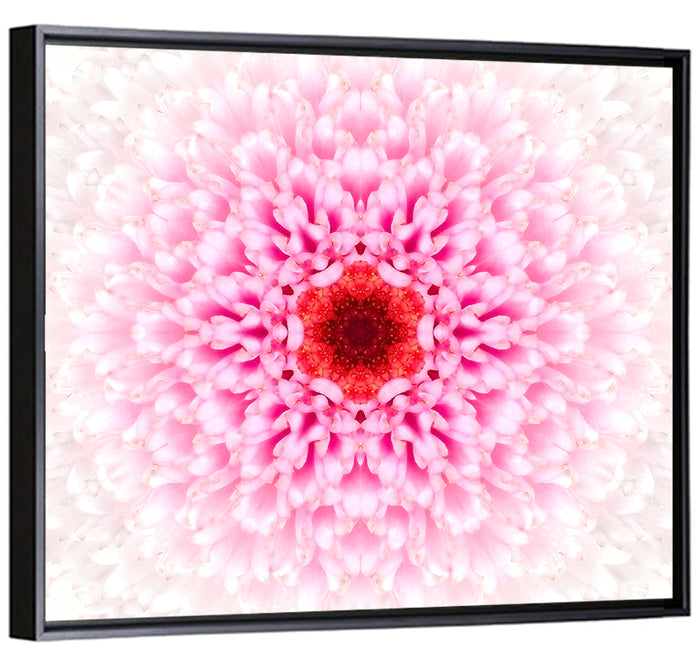 Pink Chrysanthemum Mandala with Deep Red Center Wall Art as a framed canvas