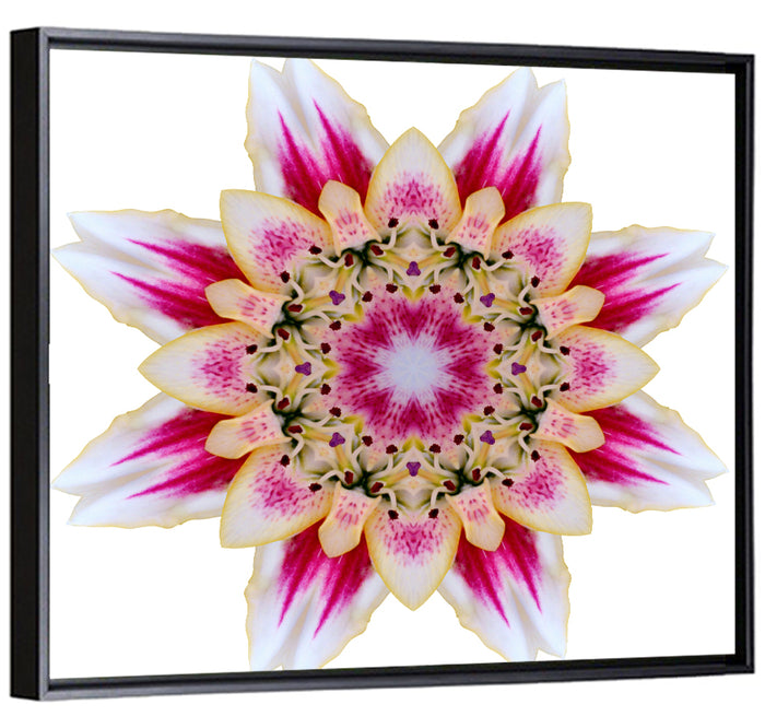 Pink Lily Star Mandala Pattern Wall Art as a framed canvas