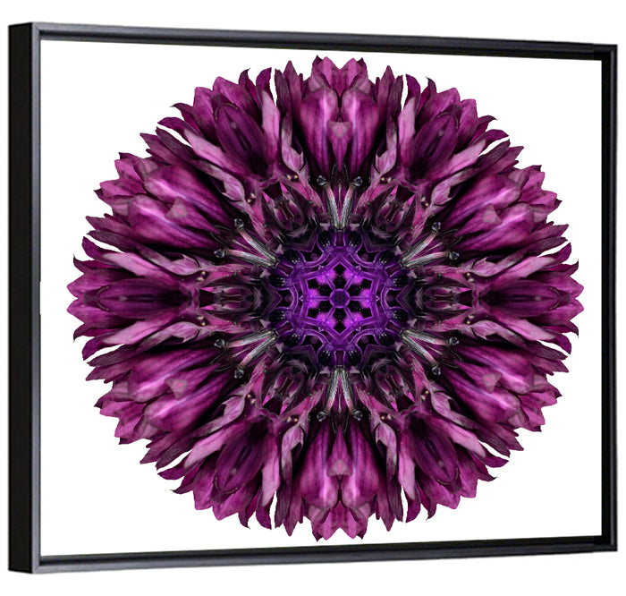 Purple Cornflower Kaleidoscope Mandala Wall Art as a framed canvas