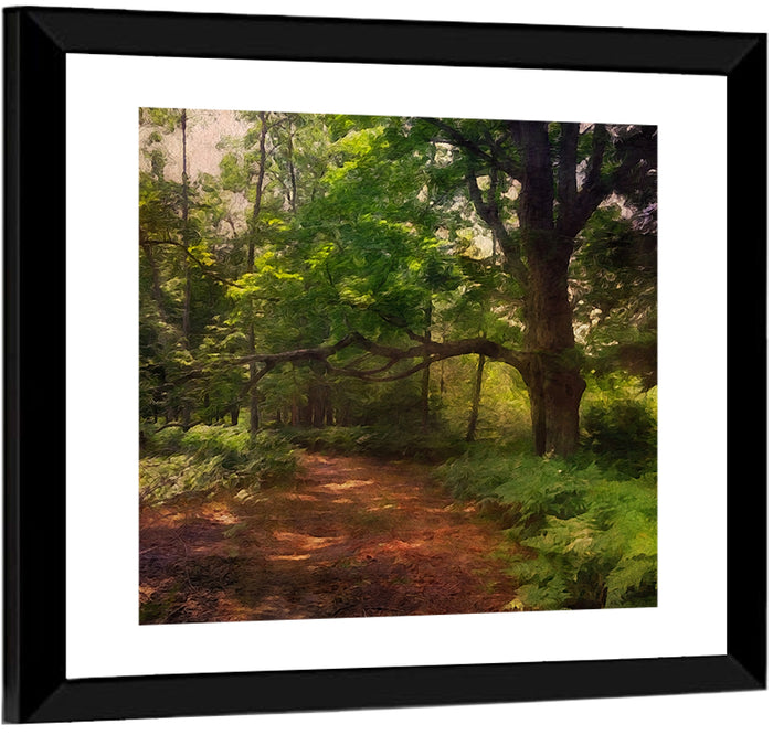 Sunlit Forest Trail Wall Art as a framed print