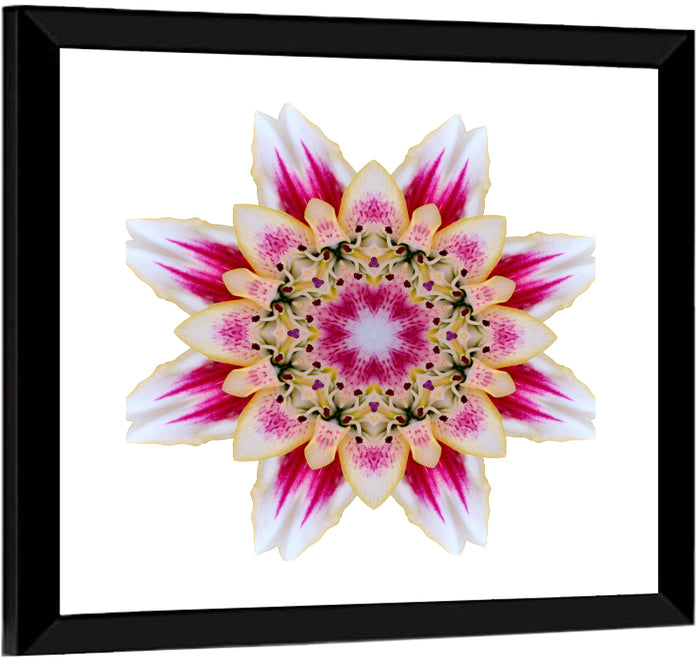 Pink Lily Star Mandala Pattern Wall Art as a framed print