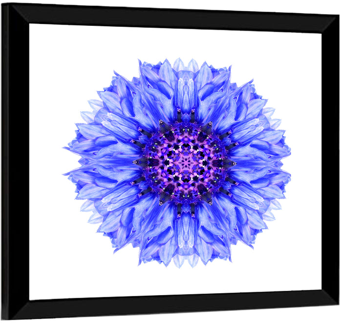 Cornflower Mandala with Dark Violet Center Wall Art as a framed print