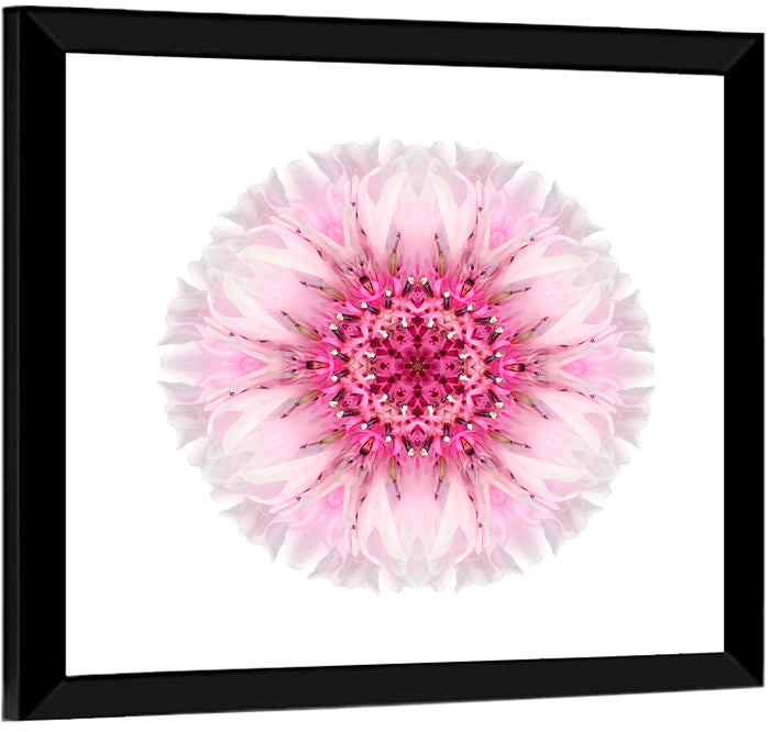 Pink Cornflower Kaleidoscope Mandala Wall Art as a framed print