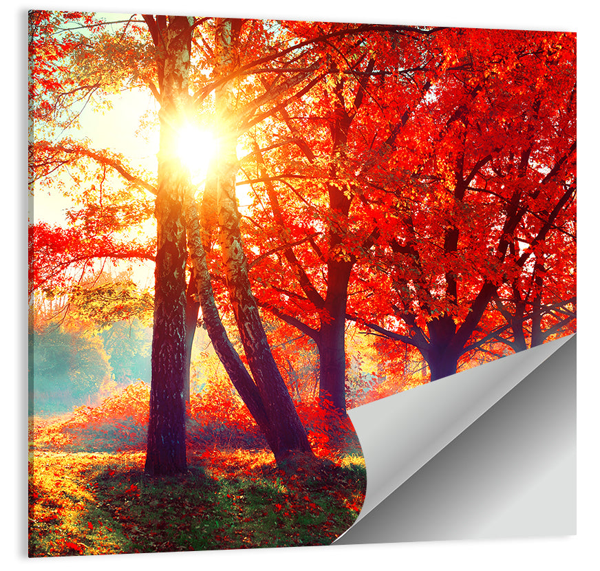 Autumn Park Sunrise Wall Art