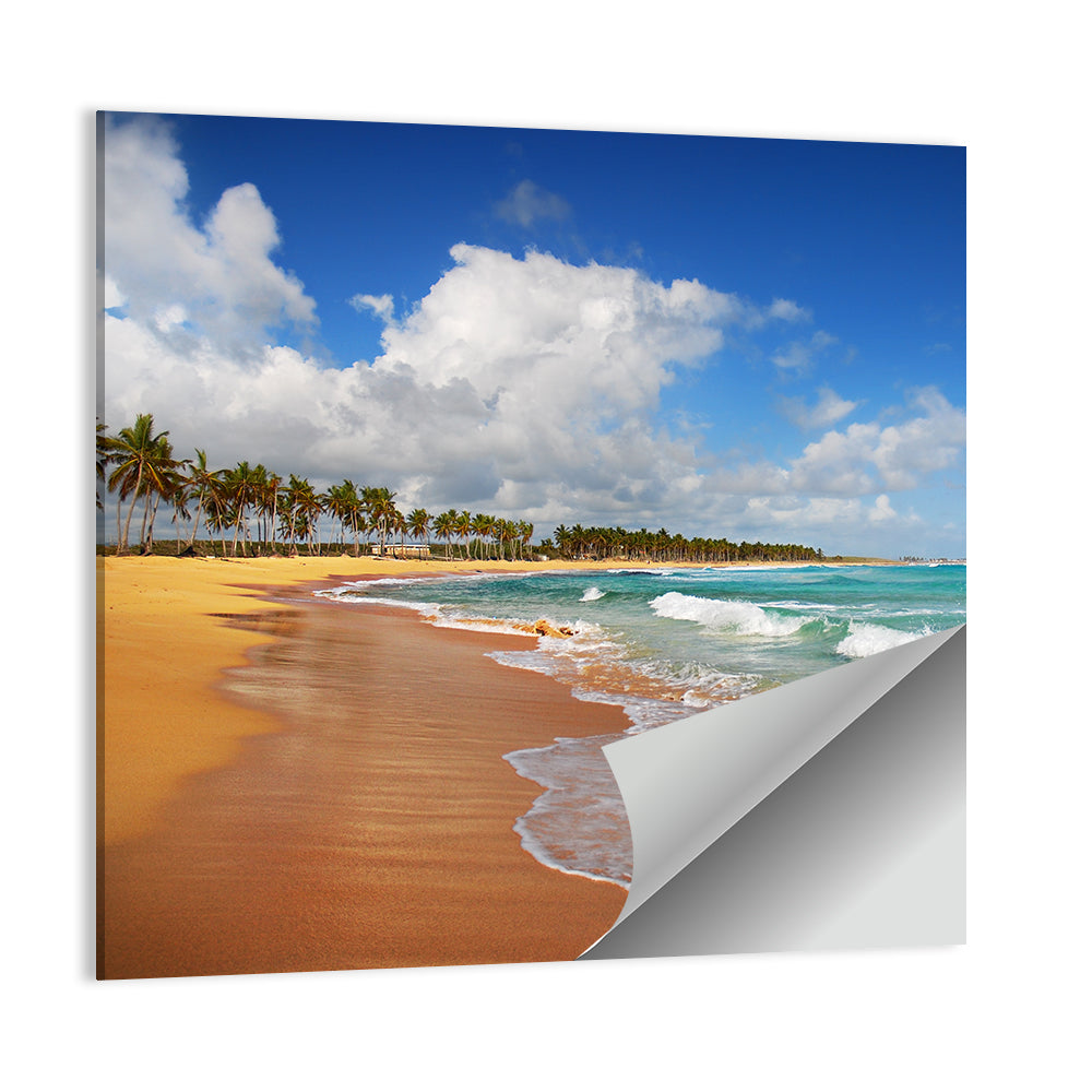 Palm Lined Tropical Coast Wall Art