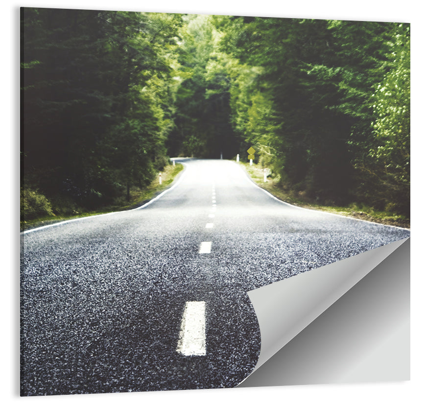 Summer Forest Road with Yellow Sign Wall Art