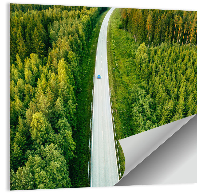 Blue Car on Forest Road Wall Art