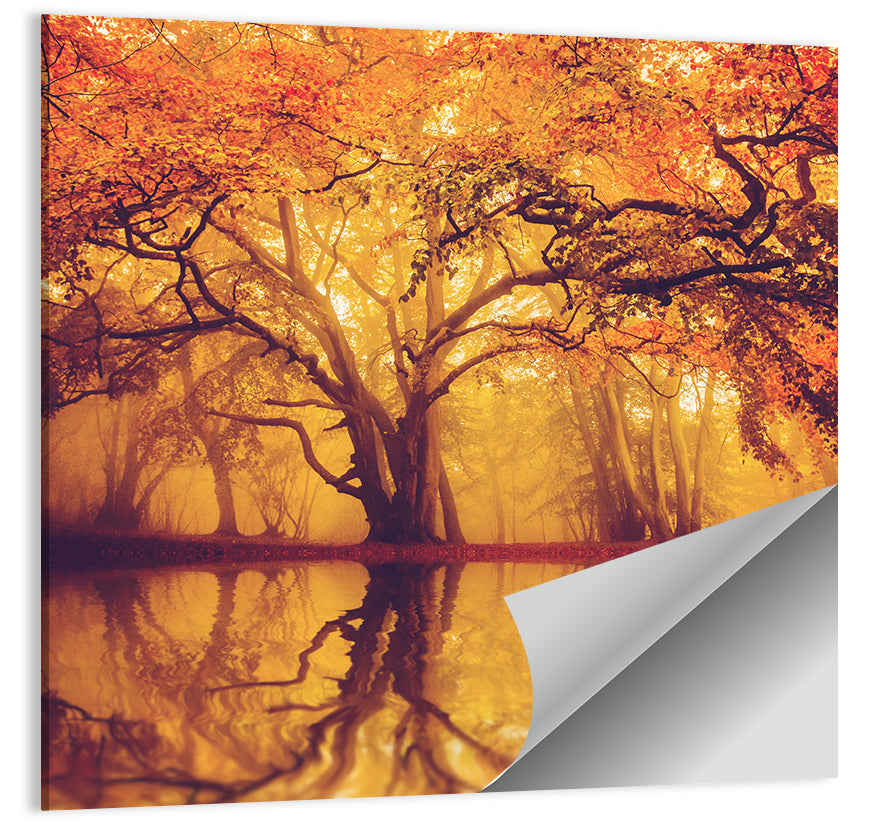 Golden Mist Forest Reflection Wall Art