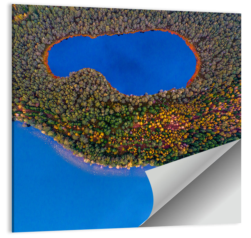 Forest Lakes Wall Art