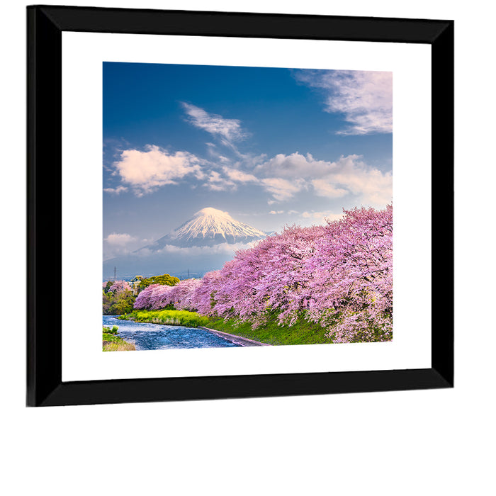 Mount Fuji Cherry Blossoms Wall Art as a framed print