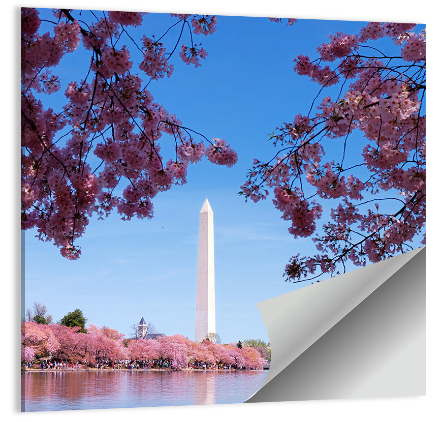 Washington Monument with Cherry Blossoms Wall Art