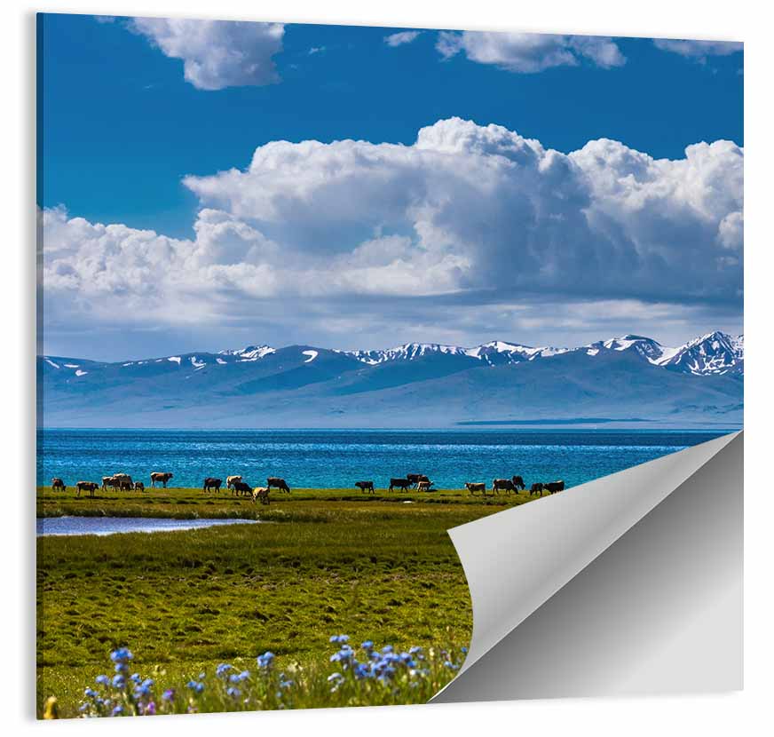 Song Kol Lakescape Wall Art