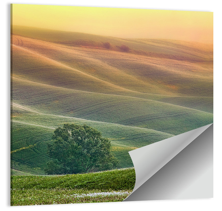 Tuscan Rolling Hills Wall Art