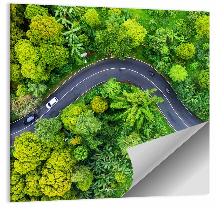 Winding Tropical Forest Road Wall Art
