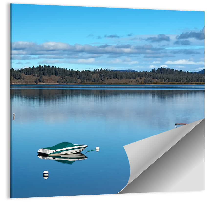 Jenny Lake Reflections Wall Art