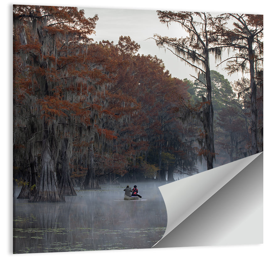 Caddo Lake Wall Art
