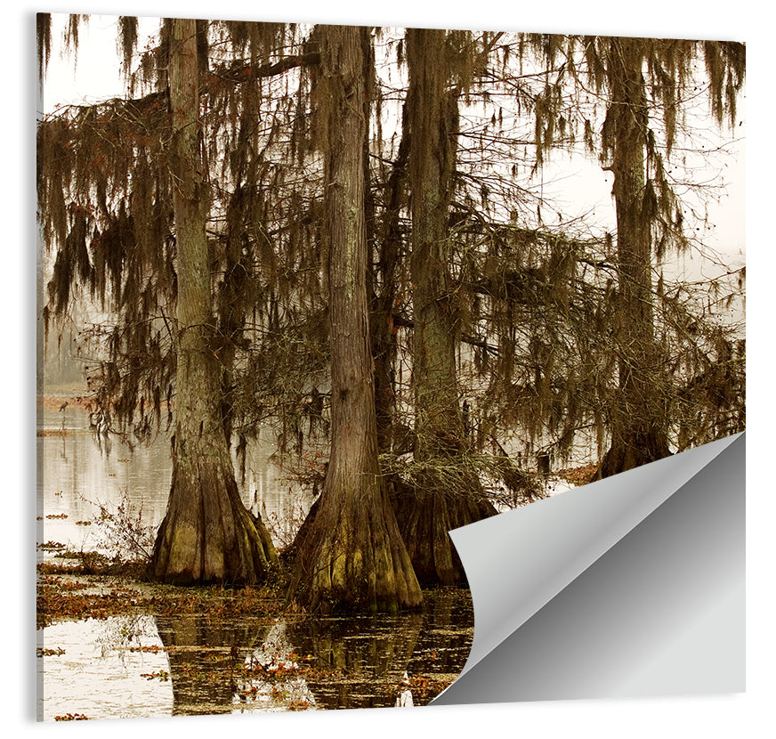 Lake Martin Cypress Morning Wall Art
